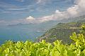 Ligurien-Cinque Terre  44